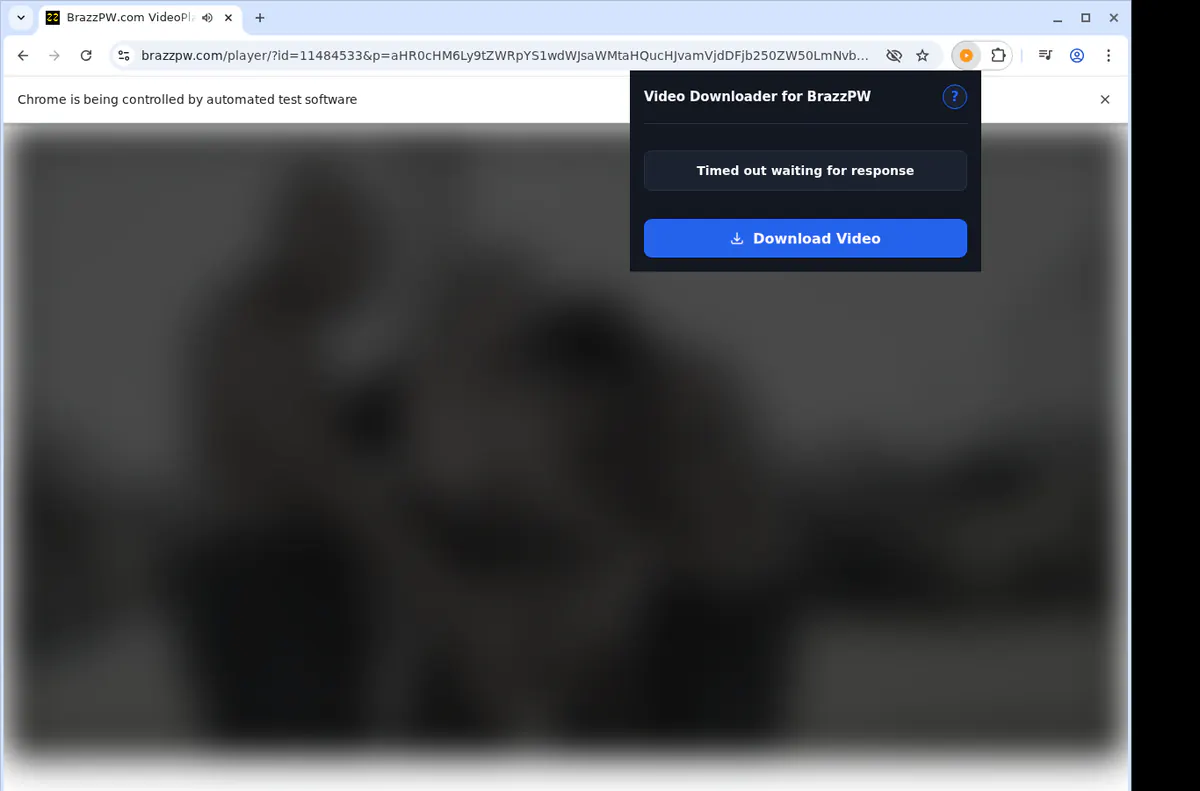 Brazzpw Video Downloader browser extension screenshot 2