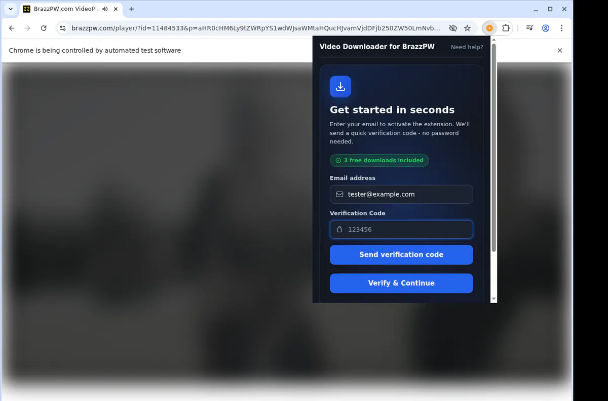 Brazzpw Video Downloader browser extension screenshot 4