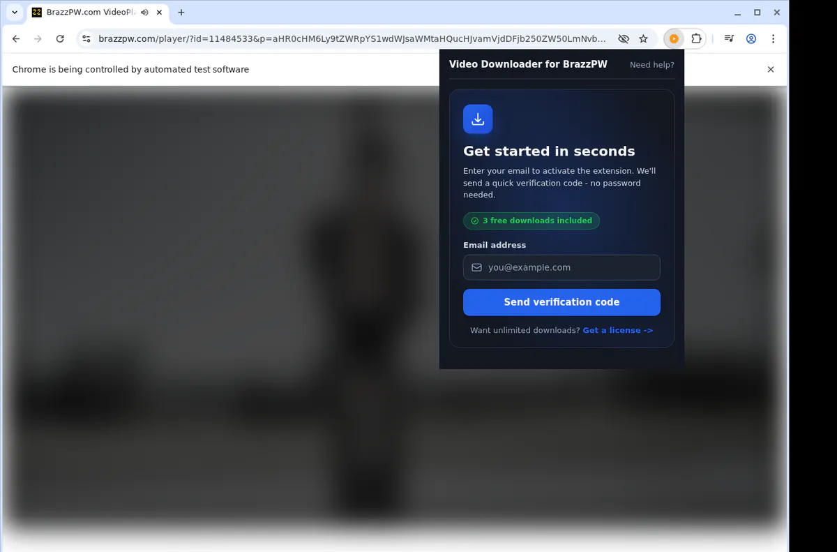 Brazzpw Video Downloader browser extension screenshot 5
